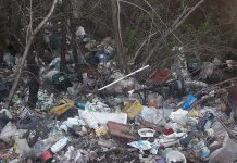 Dezastru ecologic, la Leleasca