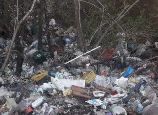 Dezastru ecologic, la Leleasca