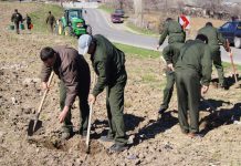 Campanie de împădurire, la Reșca