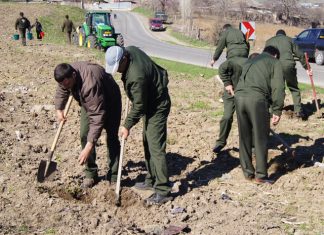 Campanie de împădurire, la Reșca