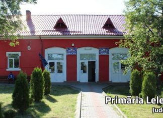 Un primar din Olt cere testarea tuturor celor care se întorc din străinătate