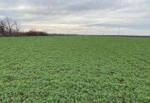 APIA Olt a suspendat vizarea carnetelor de rentieri agricoli