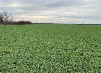 APIA Olt a suspendat vizarea carnetelor de rentieri agricoli