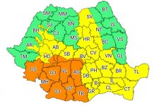 Cod portocaliu de ninsori, în Olt