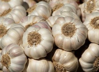 Lansarea celor două scheme de ajutor pentru producția de usturoi și cartof, reprogramată