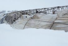 Legumicultorii olteni, afectați de viscol