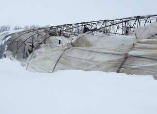 Legumicultorii olteni, afectați de viscol