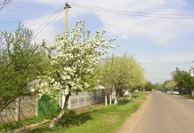 Cum va fi vremea în luna martie