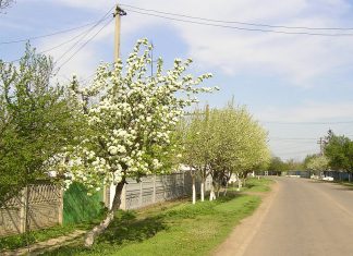 Echinocțiul de primăvară 2025 – Ce înseamnă, când va fi exact și de ce este important