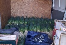 Fermier de la Pleșoiu: „Este o bătaie de joc”