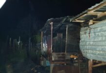 Incendiu, la Pârșcoveni