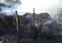 Pompierii olteni, avertisment privind curățenia de Paște, în gospodării