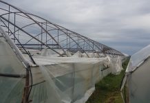 Solarii distruse, la Grădinari