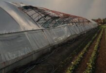 Secretarul de stat din Ministerul Agriculturii Emil Dumitru vine la Grădinari