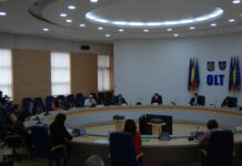 Proiecte importante, votate în ședința Consiliul Județean