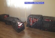 Percheziții, la Oboga și Morunglav