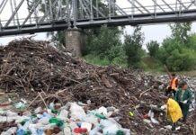 Balș: 12 tone de lemn și 4 tone de plastic au fost ridicate din zona Oltețului