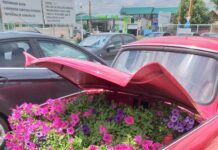 Imagini inedite surprinse pe terasa unei cofetării din Slatina