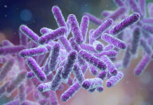 După Covid-19, o nouă epidemie e gata să izbucnească