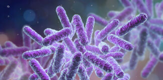 După Covid-19, o nouă epidemie e gata să izbucnească