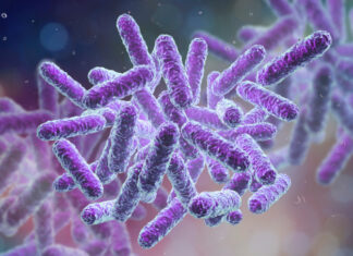 După Covid-19, o nouă epidemie e gata să izbucnească