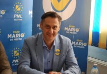 Mario De Mezzo a fost numit șef al Oficiului Român pentru Drepturile de Autor