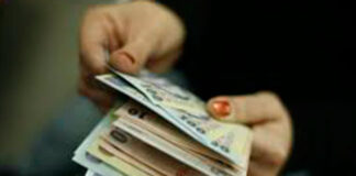 DOMENIILE ÎN CARE SE CÂȘTIGĂ CEL MAI BINE ÎN OLT