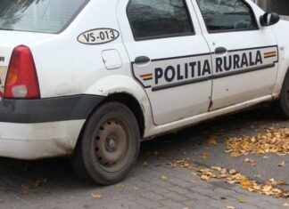 Tânăr, din comuna Vădăstrița, în arest preventiv, după ce a condus băut și fără permis