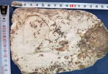 O statuetă furată de la Sucidava, în 1991, a fost descoperită de polițiști olteni