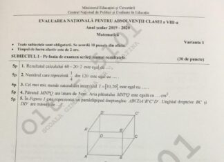 Evaluarea Națională. Subiectele la Matematică