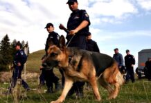 COMIC. O fetiță de cinci ani a pus autoritățile din Olt pe jar. Cum a fost găsită minora