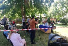 Dezbatere publică la Caracal privind problema câinilor fără stăpân