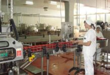 Fabricile de prelucrarea și conservarea fructelor și legumelor din Olt au avut afaceri de zeci de milioane de lei