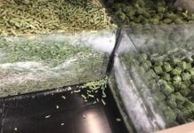 Nereguli la mai multe firme din Olt care vând înghețată sau produse congelate