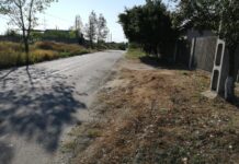 Viziunea lui Rotea pentru Balș: parc industrial cu 500 de locuri de muncă, iar toate locuințele bălșenilor să fie racordate la utilități