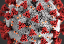 Incidenţa cazurilor Covid-19 în localitățile din Olt