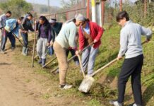 CAMPIONII DOSARELOR SOCIALE ÎN OLT. Primar: „Ce să le facem, să-i excludem din societate?”