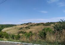 Procurorii olteni, detalii șocante despre modul cum s-a produs crima din Sărăcești