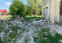 Cătălin Rotea, proiect pentru reabilitarea termică a blocurilor din Balș