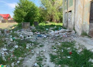 Cătălin Rotea, proiect pentru reabilitarea termică a blocurilor din Balș