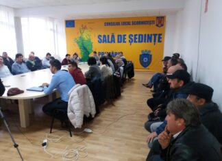 Mandatele obținute de partide în consiliile locale, pe localități