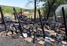 VIDEO. Incendiu, la Dobrun