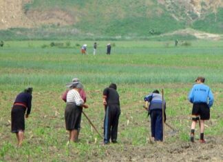 PATRONII DIN OLT CARE FOLOSESC ZILIERI, LUAȚI LA PURICAT DE INSPECTORII ITM