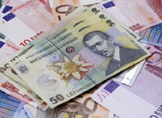Euro se depreciază ușor în raport cu moneda națională