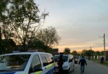Percheziții la doi bărbaţi care au furat 140 de anvelope