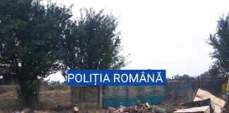 MATERIAL LEMNOS, CONFISCAT DE POLIȚIȘTII DIN OLT