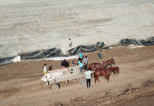 Mai mulți țigani au fost surprinși la furat pe Drumul Expres Pitești-Craiova