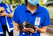 Primarul din Caracal a salvat nouă vieți prin adopție