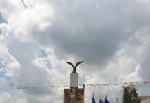 Balș: 1 Decembrie în pandemie