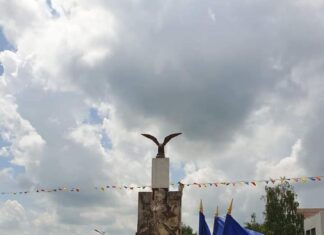 Balș: 1 Decembrie în pandemie